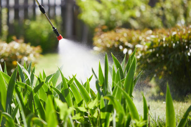 24/7 Emergency Ant Control experts in Dexter, GA
